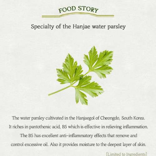 Skinfood: Pantothenic Water Parsley Refresh Cleansing Foam 150ml