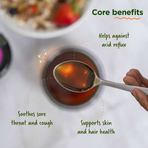 Two Brothers Organic Farms: Forest Honey (350g)