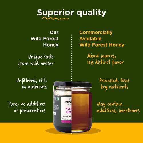 Two Brothers Organic Farms: Forest Honey (350g)