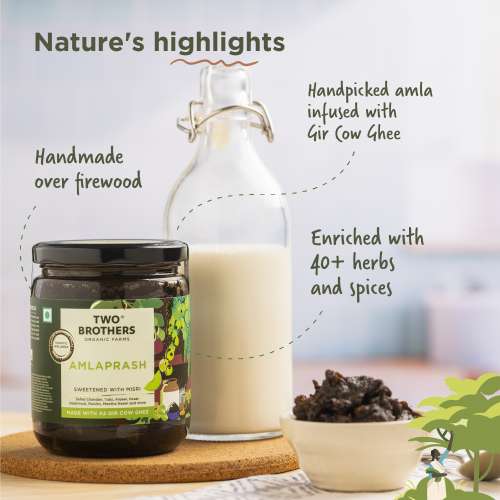 Two Brothers Organic Farms: Amlaprash (500Gm)