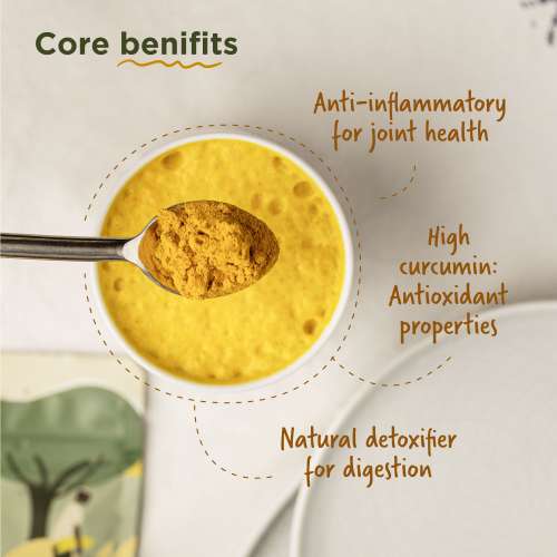 Two Brothers Organic Farms: Organic Turmeric (100gms)