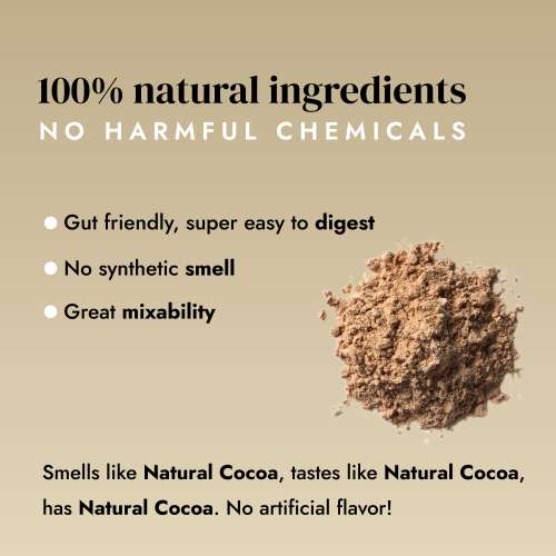 shyft: Plant Protein Isolate - Natural Cocoa 500gm