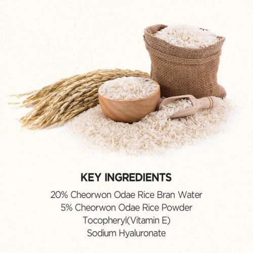 Skinfood: RICE MASK WASH OFF - 120gm
