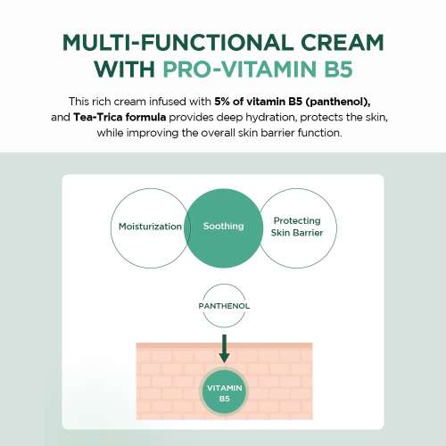 SKIN1004: Centella Tea-Trica B5 Cream 75ml
