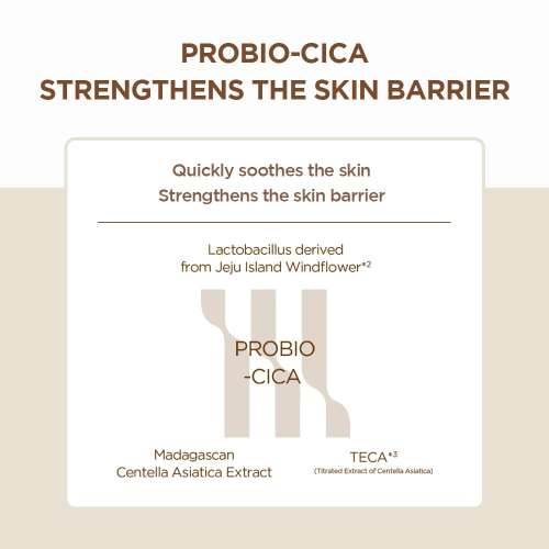 SKIN1004: Madagascar Centella Probio Cica Enrich Cream  | Calming Care | Sensitive Skin | Moisturizer | Barrier Support | 50Ml