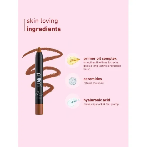 Plum: Twist & Go Matte Lipstick Airbrushed Finish Long Lasting Titanic