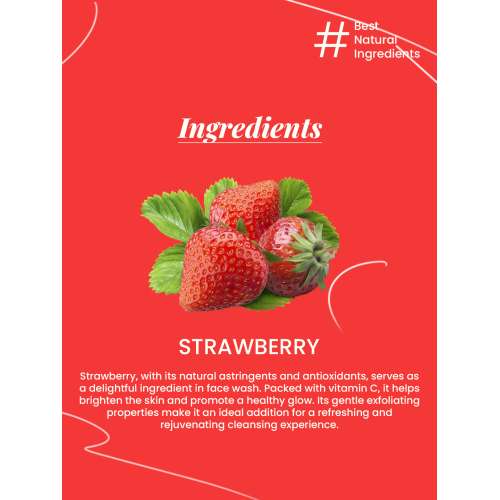 VITMINVEDA: Natural Strawberry Face Wash 100ml