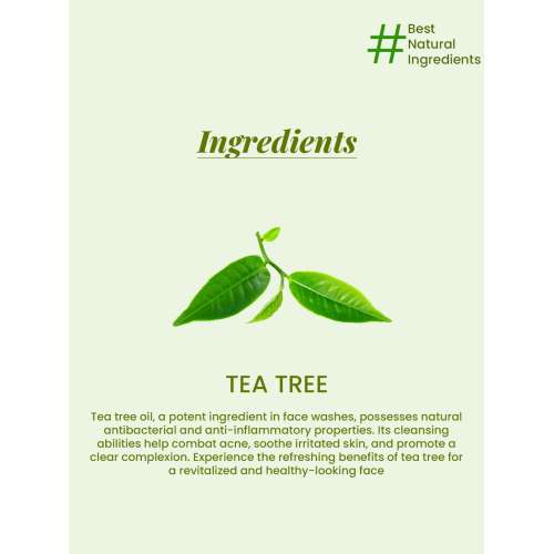 VITMINVEDA: Natural Tea Tree Face Wash 100ml