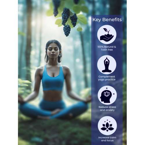 VITMINVEDA: Berry Blast Natural Incense Stick Agarbatti 100gm