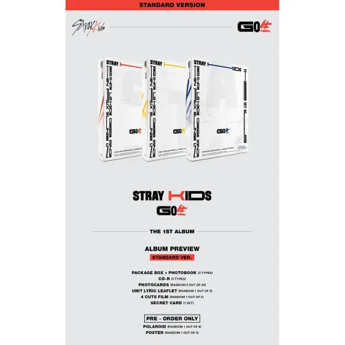 Cokodive: Stray Kids-Go (1st Official Album) | Standard (Random Ver.)