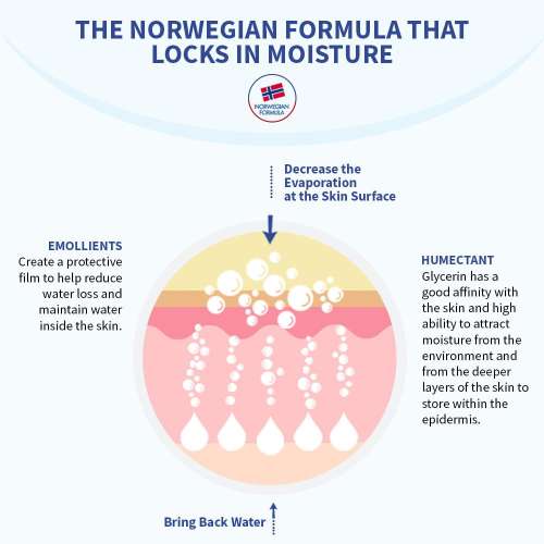 Neutrogena: Norwegian Formula Daily Body Lotion 250ml