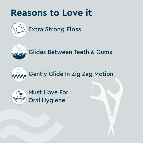 GUBB: Dental Floss Pick