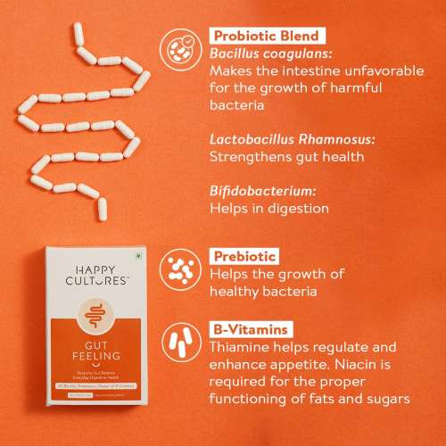 Happy Cultures: Gut Feeling - Blend of Pre + Probiotics & B-Vitamins  | 30 Capsules