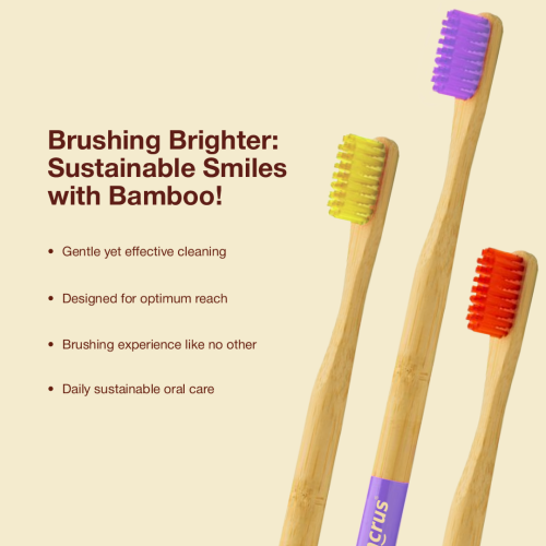 DENCRUS: Orby Plus Bamboo Toothbrush For Adults | 100% Natural Soft Bristles | Red, Blue, Yellow, Lavender, Pink | Pack of 5