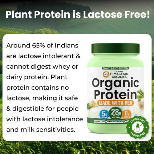 Vlado's Himalayan Organics: Organic protein Powder I Plant protein I 28gm Protein , 5gm BCAA - Unflavoured - 500gm