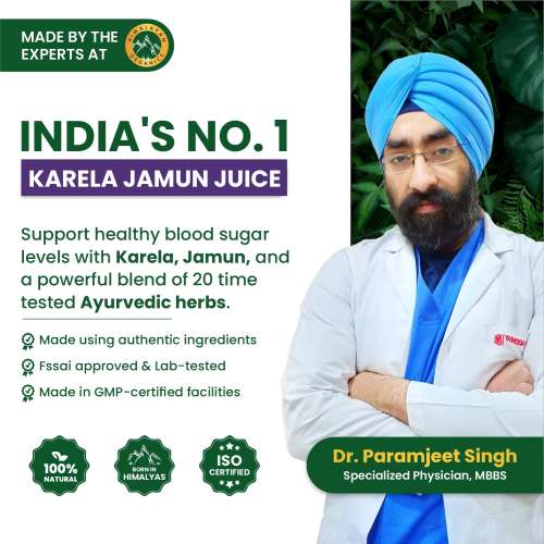 Vlado's Himalayan Organics: Karela Jamun Diabetic Care Juice , Diabetic & Sugar Control - 1L