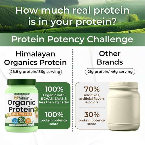 Vlado's Himalayan Organics: Organic protein Powder I Plant protein I 28gm Protein , 5gm BCAA - Unflavoured - 500gm