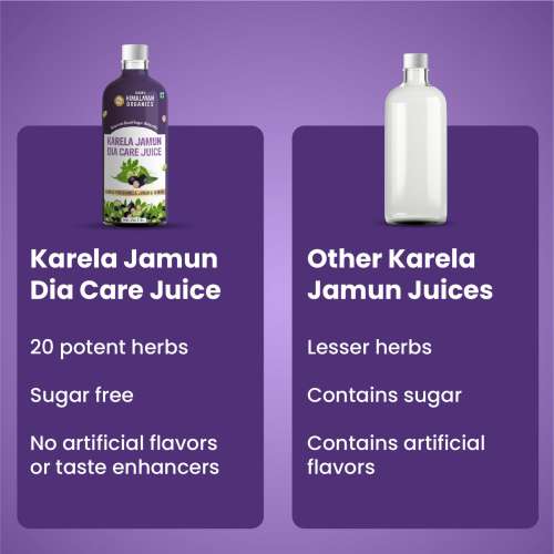 Vlado's Himalayan Organics: Karela Jamun Diabetic Care Juice , Diabetic & Sugar Control - 1L