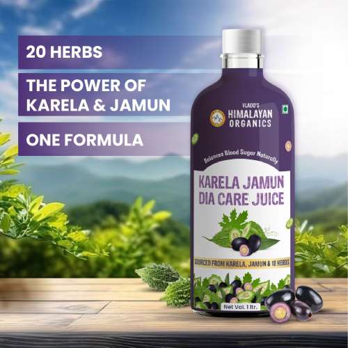 Vlado's Himalayan Organics: Karela Jamun Diabetic Care Juice , Diabetic & Sugar Control - 1L