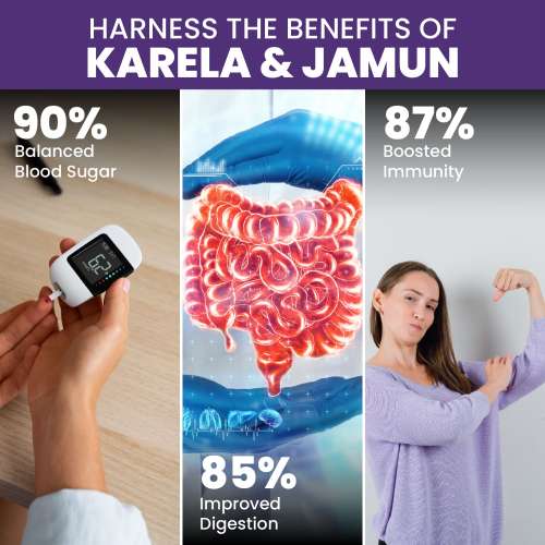 Vlado's Himalayan Organics: Karela Jamun Diabetic Care Juice , Diabetic & Sugar Control - 1L