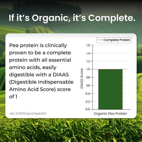 Vlado's Himalayan Organics: Organic protein Powder I Plant protein I 28gm Protein , 5gm BCAA - Unflavoured - 500gm