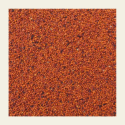 Soil Origin: Ragi Whole (Finger Millet)  500gm