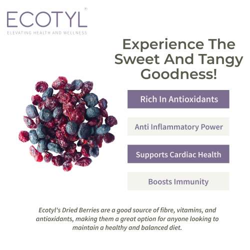 Ecotyl: Blueberres & Dried Cranberries Combo | Healthy Snacks | Dried Fruits | 150gm Each