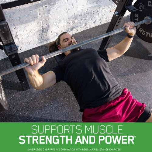 Optimum Nutrition: Micronized Creatine Powder - 100gm - Unflavored