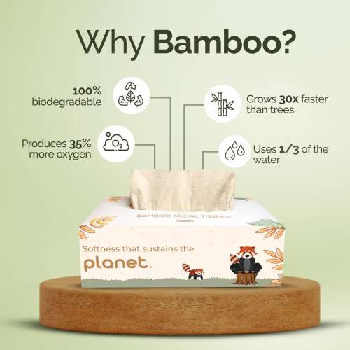 IMECO: Bamboo Facial Tissue | Soft & Highly Absorbent | 2-Ply | 100 Pulls Per Pack | Pack of 6
