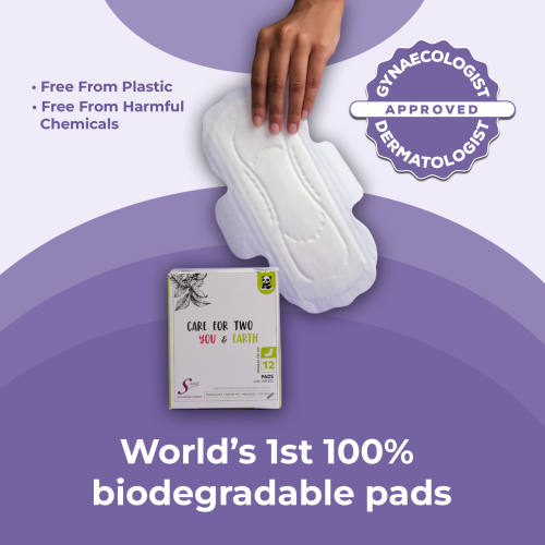 Saathi: Sustainable Bamboo Regular ( 245MM ) Sanitary Pads   Pack of 12 X 3 - 36 Pads (Regular)