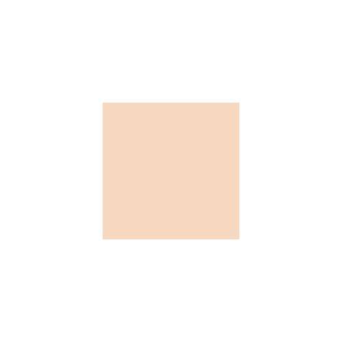 tfit: Idol Cover Concealer O02 Deep Beige   6.5gm