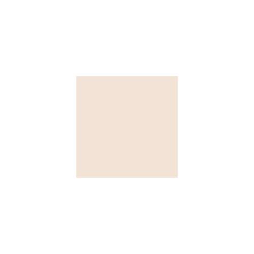 tfit: Idol Cover Concealer Y02 Natural Beige  6.5gm