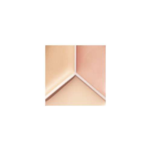 tfit: Cover Up Pro Concealer 03 Cool 15gm