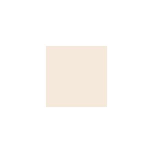 tfit: Idol Cover Concealer Y01 Light Beige 6.5gm