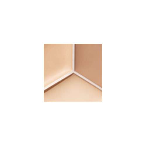 tfit: Cover Up Pro Concealer 01 Neutral   15gm