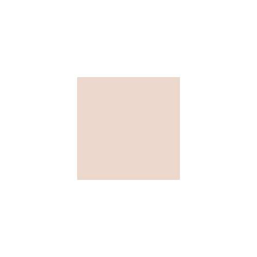 tfit: Idol Cover Concealer P03 Tone Up Beige  6.5gm