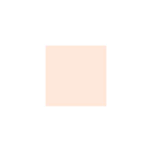 tfit: Radiance Fit Serum Foundation N1.5 Suede 30gm
