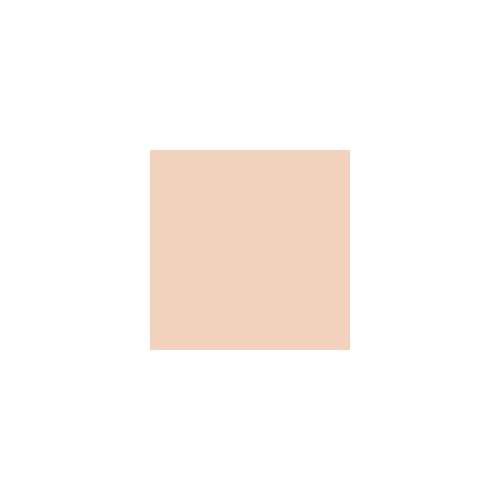 tfit: Layering Fit Cover Cushion Ex C01 Porcelain 12gm