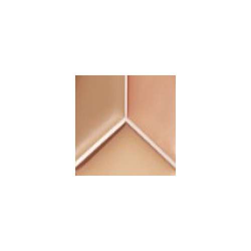 tfit: Cover Up Pro Concealer 02 Warm 15gm