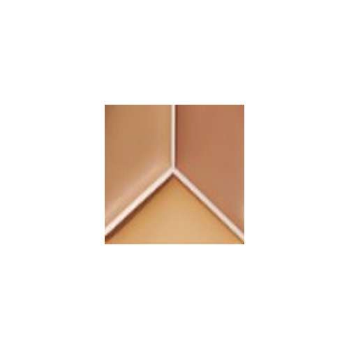 tfit: Cover Up Pro Concealer 04 Dark   15gm