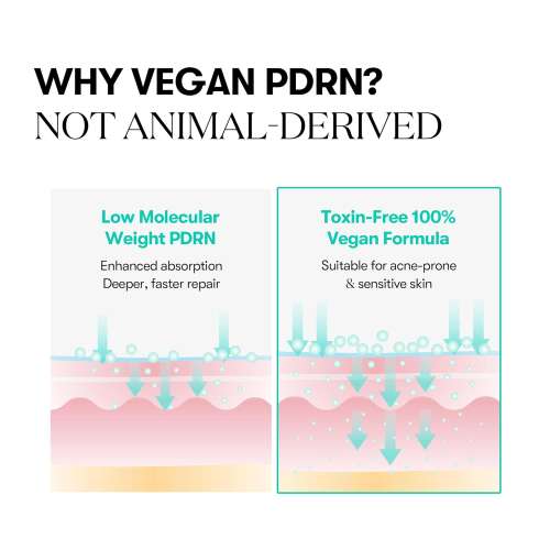 VT Cosmetics: PDRN Capsule Cream | PDRN | Skin Repair | Elasticity Boost | Deep Hydration | 50ml