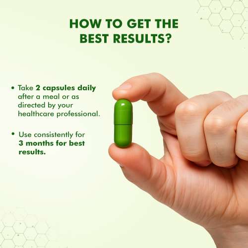 Dr. Morepen: Veg Omega 3 6 7 9 Capsules 500mg for Healthy Heart, Brain & Joints - 60 Veg Capsules Pack of 2