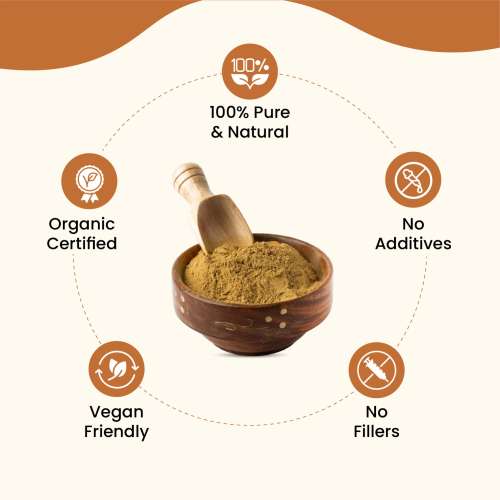 Vlado's Himalayan Organics: Vlado's Himalayan Organics Arjun Chaal Powder-500G | 100% Natural & Pure Herbal Arjun Ki Chaal Powder For Men & Women I USDA Organic | To Support Heart Health & Promote Good Cholesterol 500gm