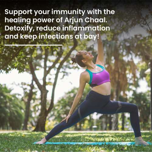 Vlado's Himalayan Organics: Vlado's Himalayan Organics Arjun Chaal Powder-500G | 100% Natural & Pure Herbal Arjun Ki Chaal Powder For Men & Women I USDA Organic | To Support Heart Health & Promote Good Cholesterol 500gm