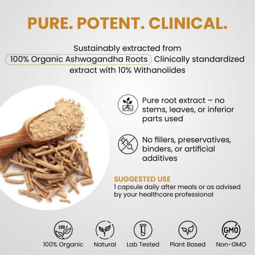 Vlado's Himalayan Organics: Vlado's Himalayan Organics Pure Ashwagandha -10% Withanolides with Ultra High Potency - 600MG - Highly Concentrated & Third-Party Lab Tested - Ayurvedic Supplement - Focus, Mood Support, Increase Energy, Strength - Enhanced Mood & Performance - 30 Capsule