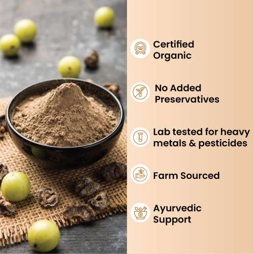 Vlado's Himalayan Organics: Vlado's Himalayan Organics Triphala Powder - 100 GM | Triphala Churna For Gut, Immune & Intestinal Health | Colon & Digestion, For Balanced Bowel & Gut Health, GMP & NPOP Certified Organic I Helps Relieve Constipation | Herbal Supplement  100gm
