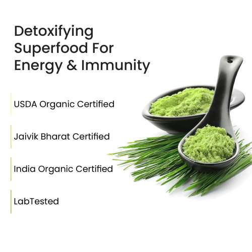Vlado's Himalayan Organics: Vlado's Himalayan Organics 100% Natural Organic Wheatgrass Powder | USDA Certified| Organic Wheatgrass Juice | Ayurvedic Support For Natural Detox | Immunity Booster | Herbal Supplement - 100gm