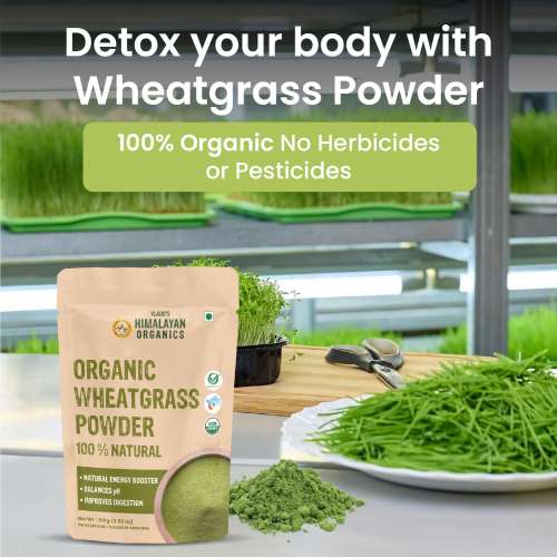 Vlado's Himalayan Organics: Vlado's Himalayan Organics 100% Natural Organic Wheatgrass Powder | USDA Certified| Organic Wheatgrass Juice | Ayurvedic Support For Natural Detox | Immunity Booster | Herbal Supplement - 100gm