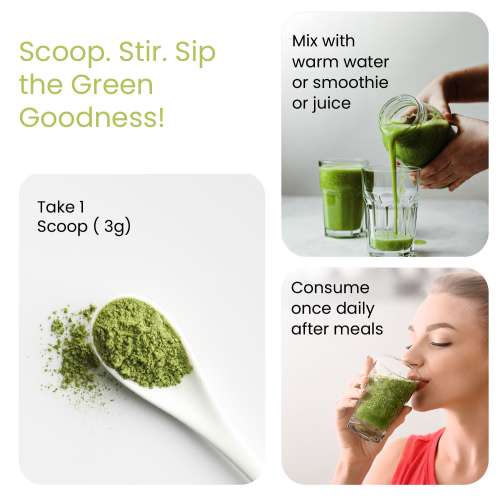 Vlado's Himalayan Organics: Vlado's Himalayan Organics 100% Natural Organic Wheatgrass Powder | USDA Certified| Organic Wheatgrass Juice | Ayurvedic Support For Natural Detox | Immunity Booster | Herbal Supplement - 100gm