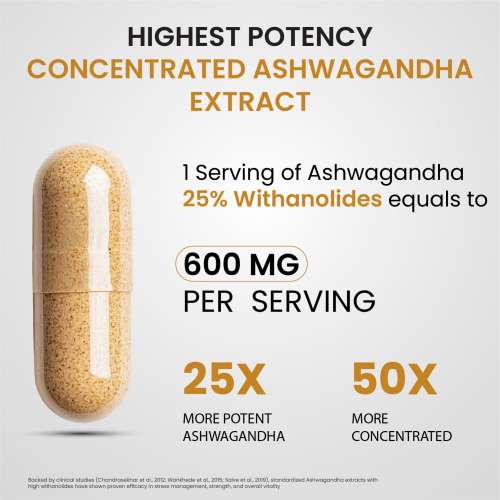 Vlado's Himalayan Organics: Vlado's Himalayan Organics Ashwagandha -25 % Withanolides with Maximum High Potency - 600MG - Highly Concentrated & Third-Party Lab Tested - Ayurvedic Supplement  I 1st in India - 30 Capsules